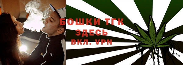 спайс Грязовец