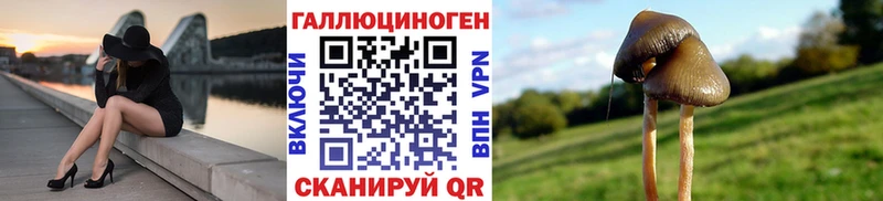 Псилоцибиновые грибы ЛСД shop какой сайт Бабушкин